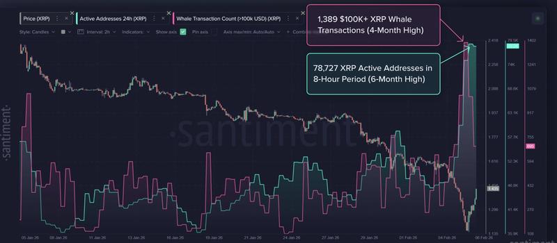 XRP daily active addresses and whale transactions