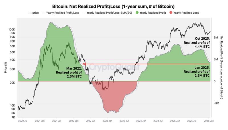 Bitcoin annual net realized profit and loss chart