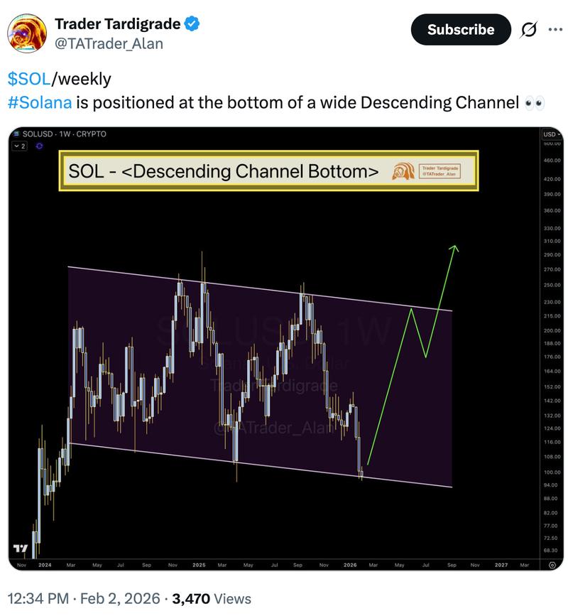 Trader Tardigrade analysis