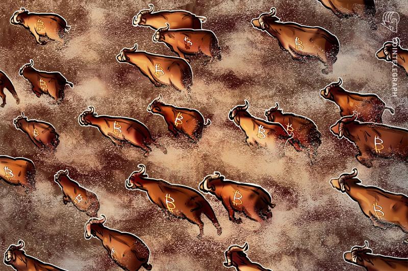 Analysts warn bear market continues despite Bitcoin's brief surge to $74K