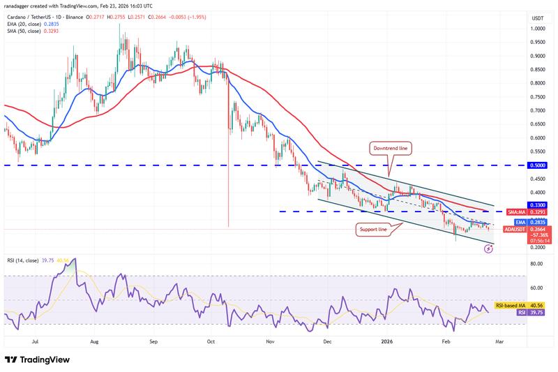 ADA/USDT daily chart