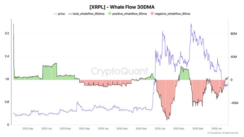 XRP Whale Flow