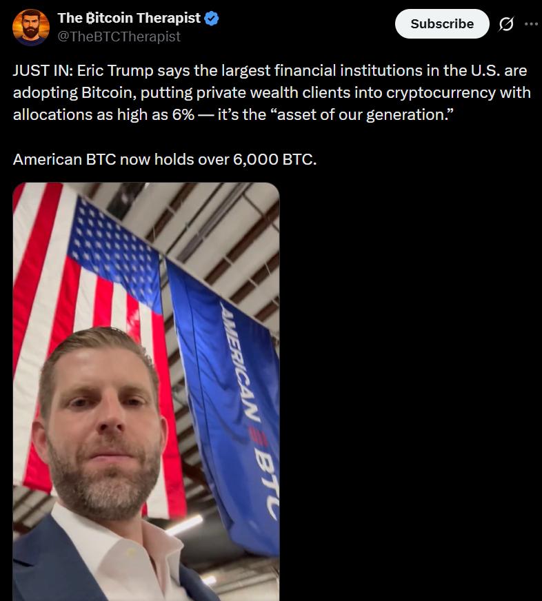 Bitcoin treasury holdings chart