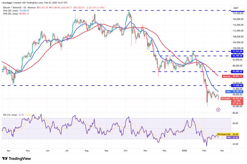 BTC/USDT daily chart