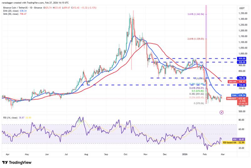 BNB/USDT daily price chart