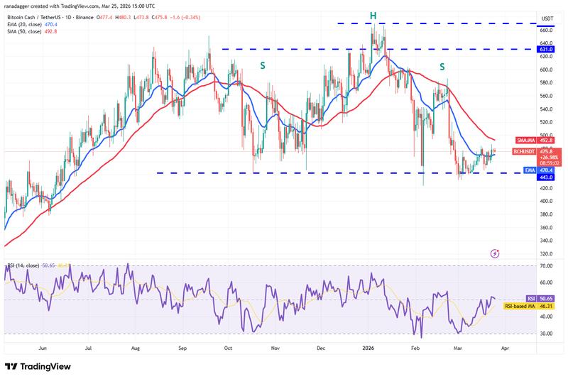BCH/USDT daily chart