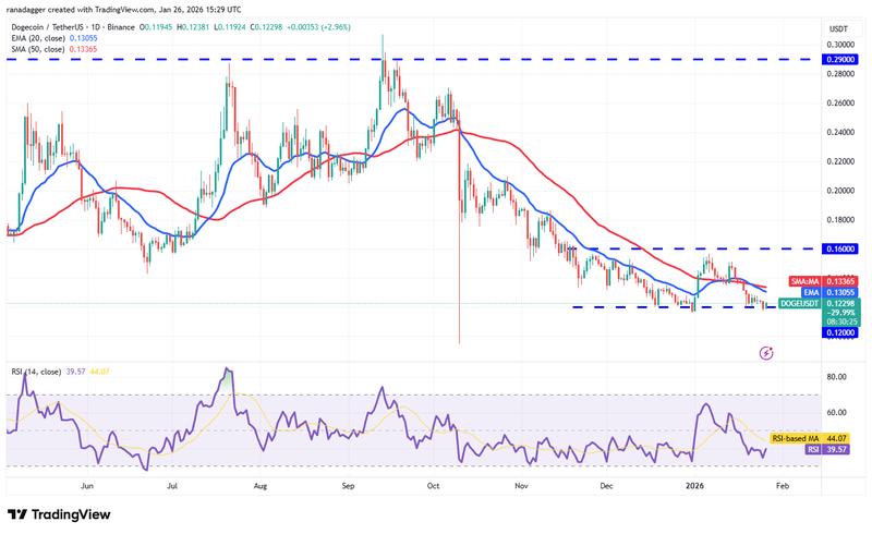 DOGE/USDT daily chart