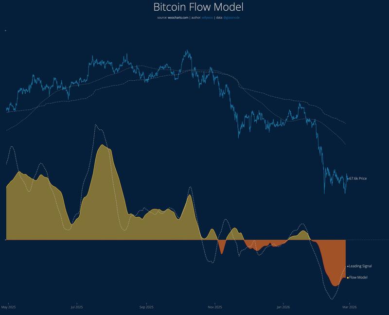 Bitcoin Flow Model