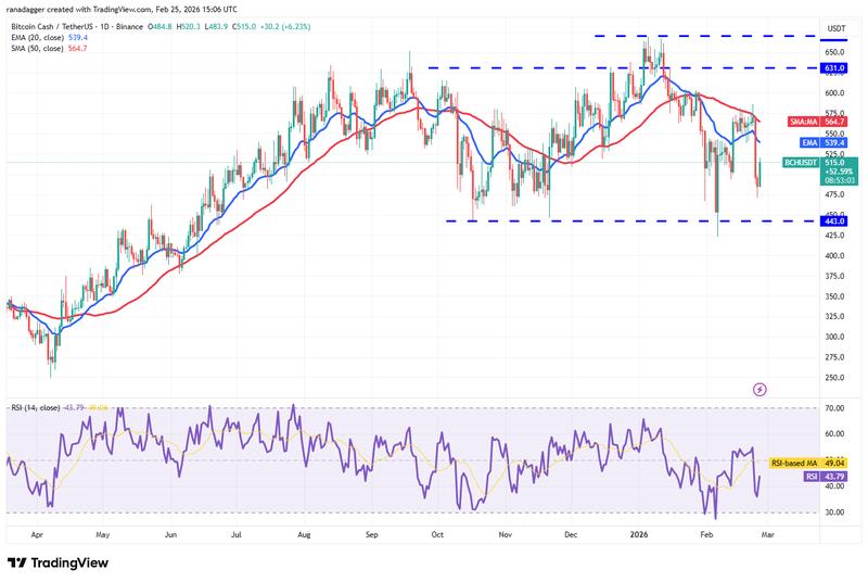 Daily chart for BCH/USDT