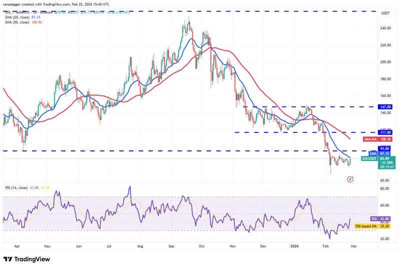 Daily chart for SOL/USDT