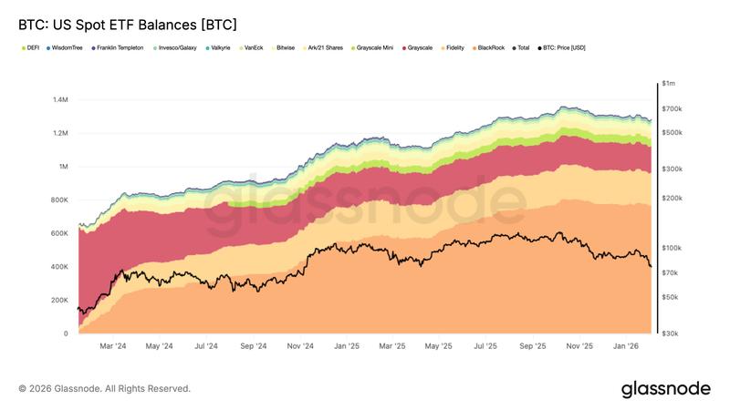 Bitcoin US spot ETF balances