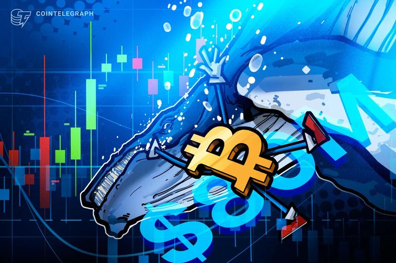 Major Hyperliquid Trader Wagers $80M on Bitcoin Collapse: Should Investors Worry?
