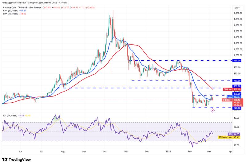 BNB/USDT daily chart