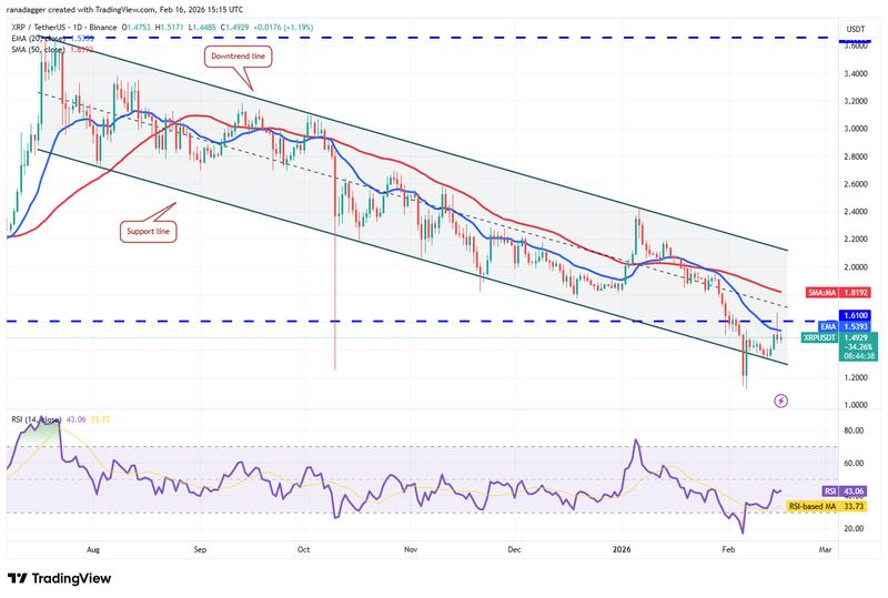 XRP/USDT daily chart