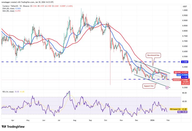 ADA/USDT daily chart