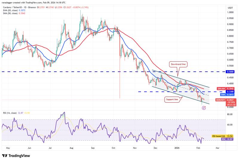 Daily chart for ADA/USDT