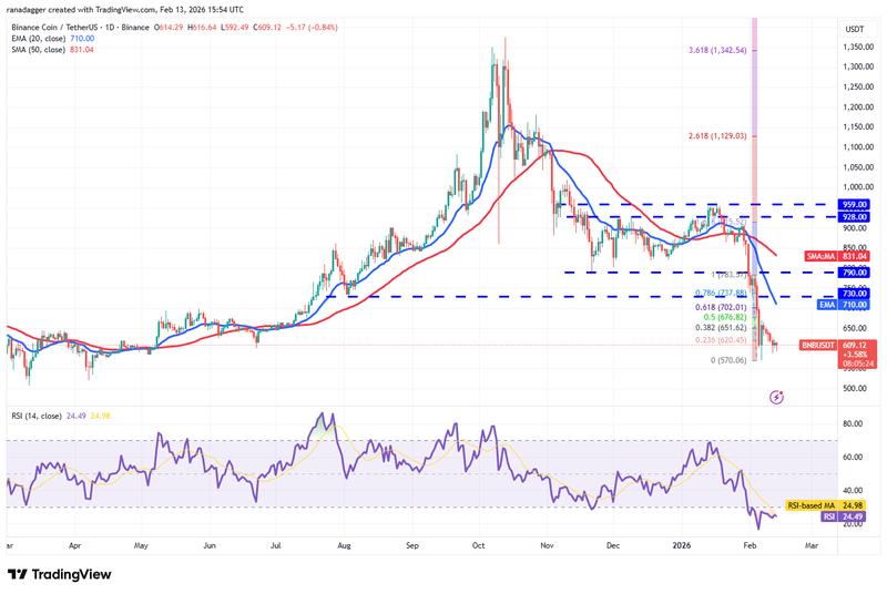 Daily chart of BNB/USDT
