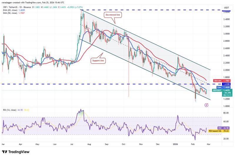 Daily chart for XRP/USDT