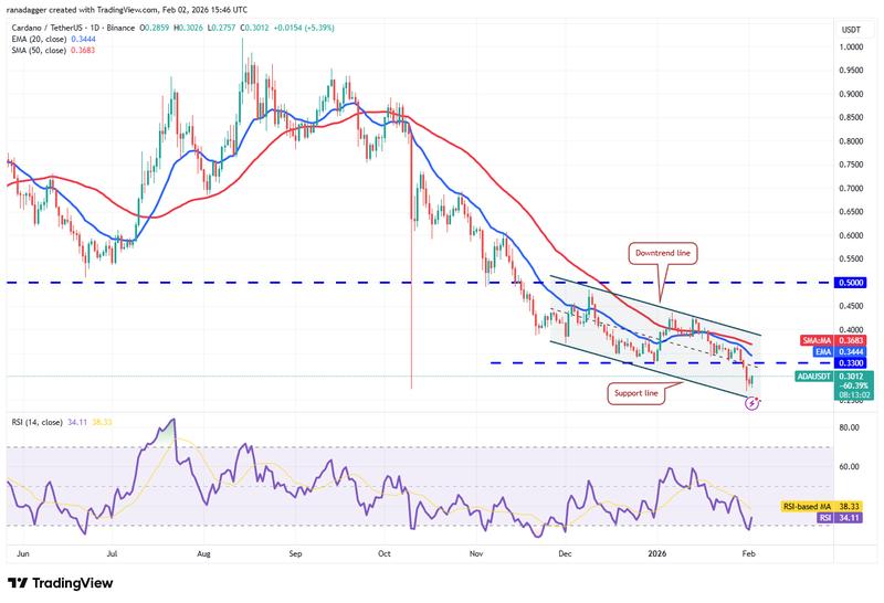 ADA/USDT daily chart