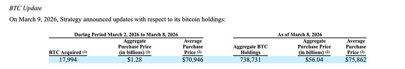 SEC filing showing Bitcoin purchase details