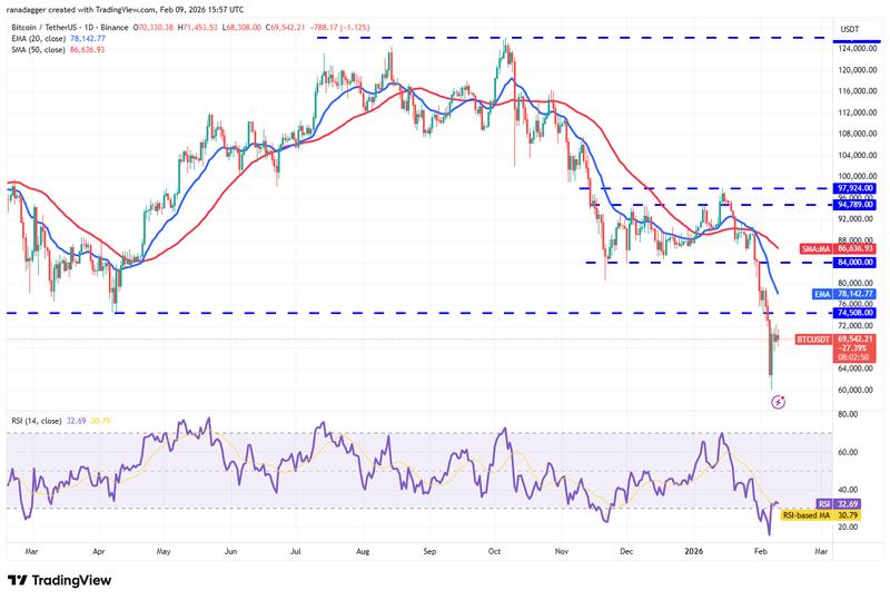 Daily chart for BTC/USDT