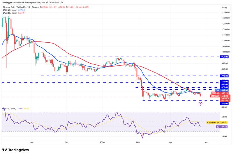 BNB/USDT daily chart