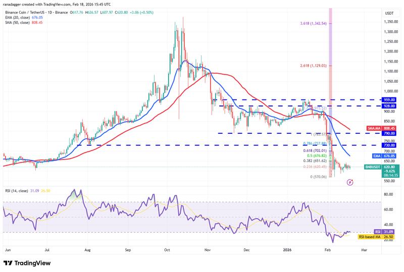 Daily BNB/USDT price chart