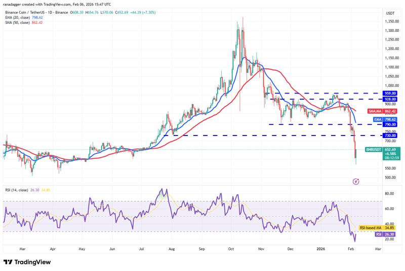 BNB/USDT daily chart