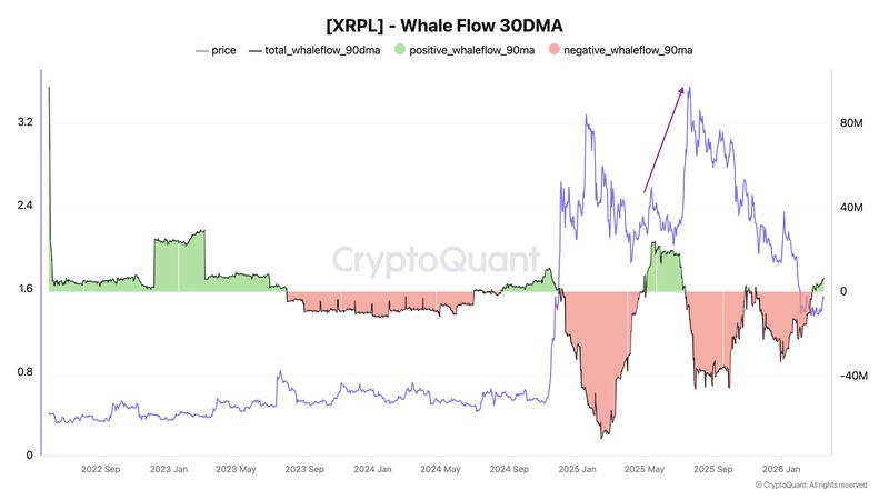 XRPL 90-day whale flow