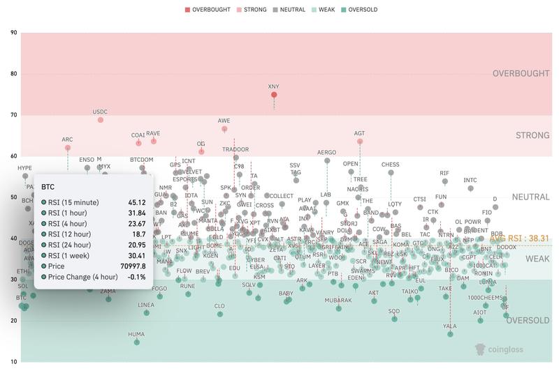 Crypto market RSI heatmap