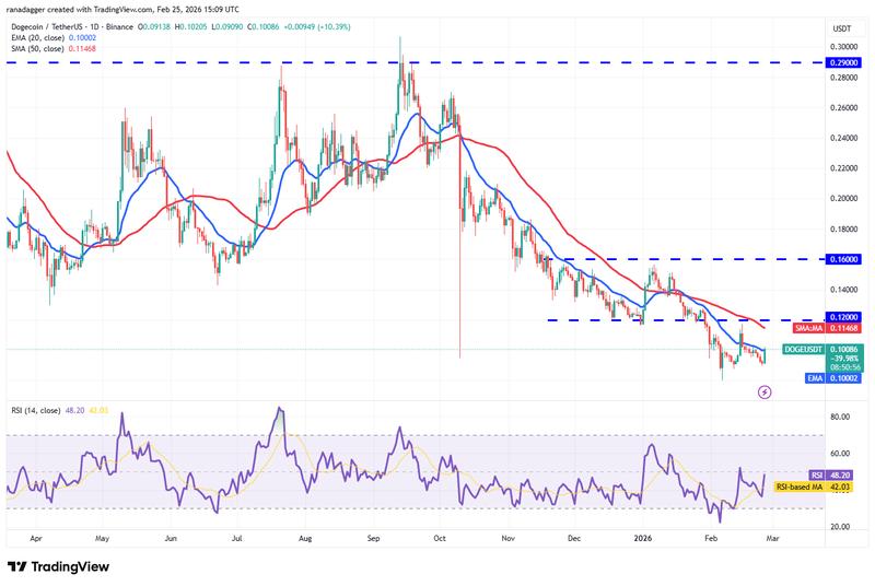 Daily chart for DOGE/USDT