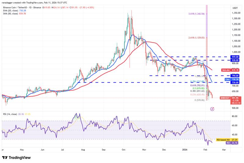 BNB/USDT daily chart