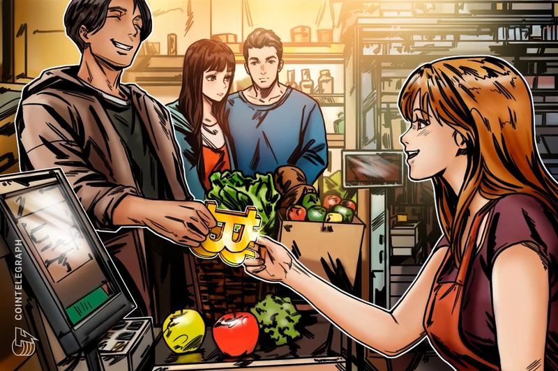 Bitcoin Payment Adoption: Examining Who Really Uses BTC for Transactions