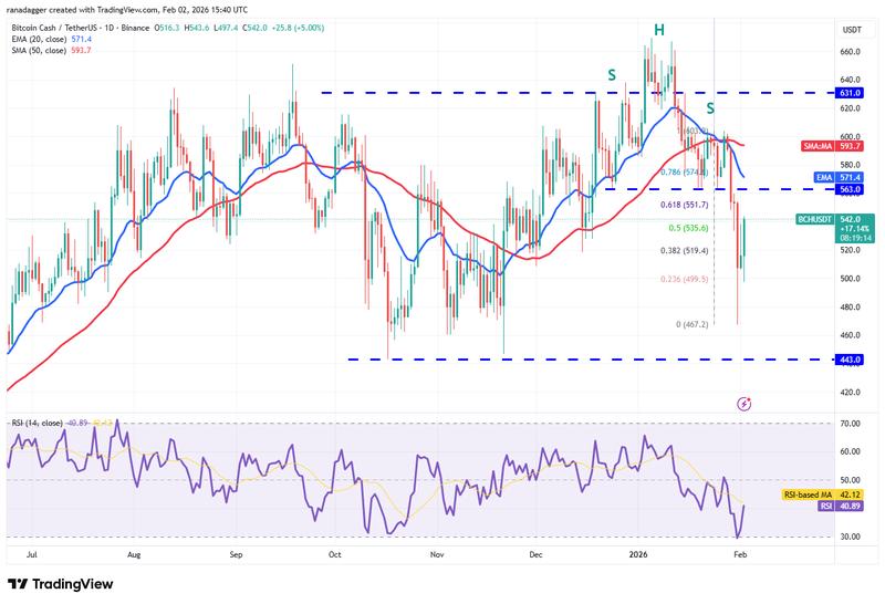 BCH/USDT daily chart