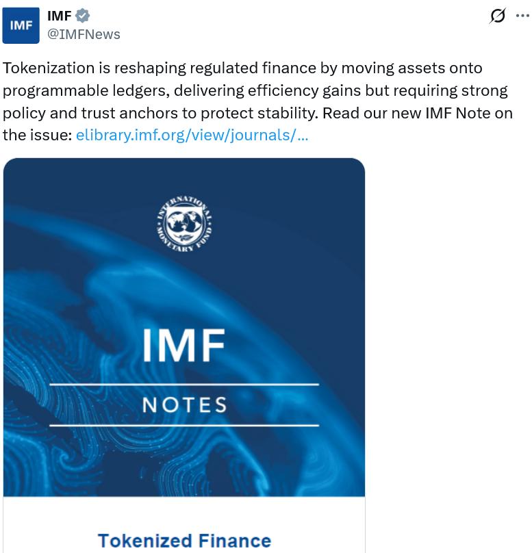 IMF tokenization report