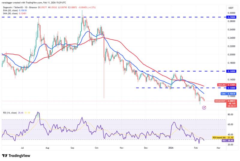 DOGE/USDT daily chart