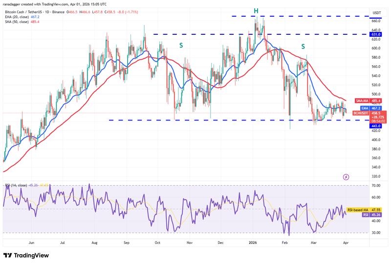 Daily chart for BCH/USDT