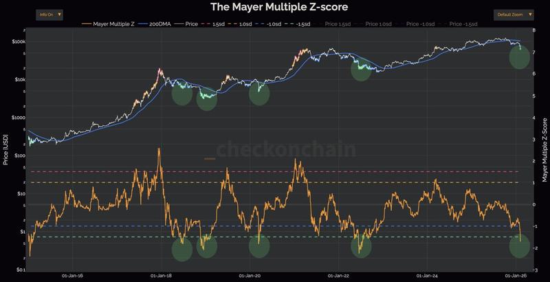 Bitcoin Mayer Multiple analysis