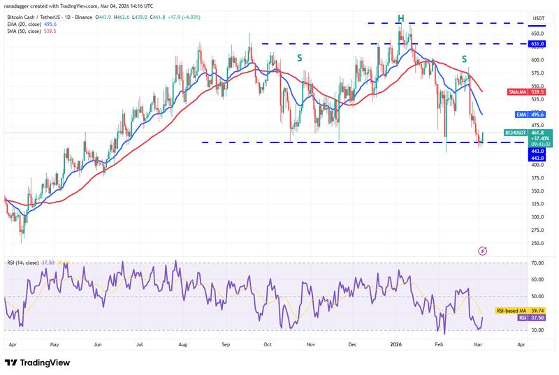 BCH/USDT daily chart