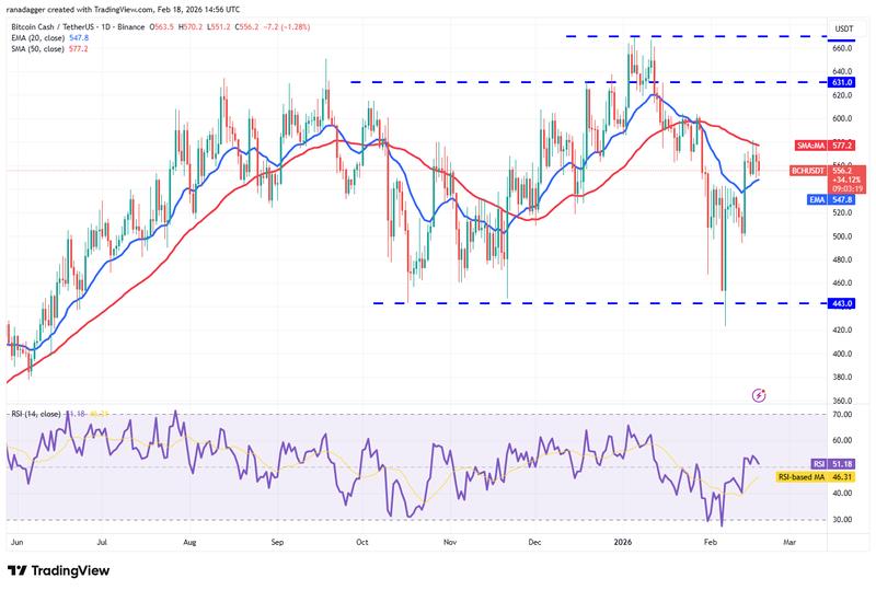 Daily BCH/USDT price chart