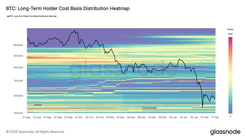 Bitcoin long-term holder cost basis distribution heatmap