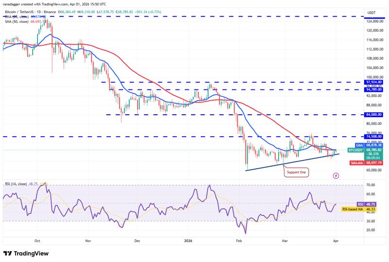 Daily chart for BTC/USDT