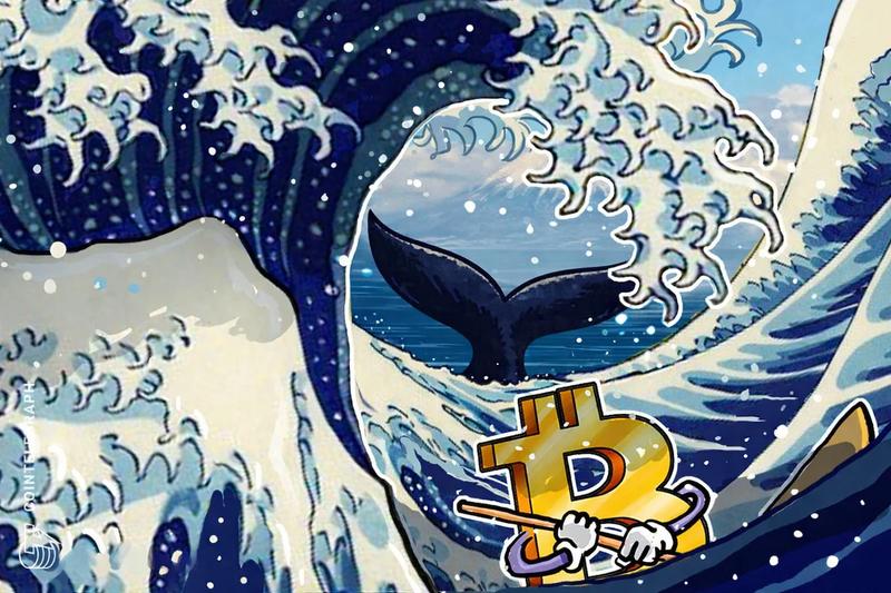 Bearish chart formation and major whale movements signal potential 20% Bitcoin decline