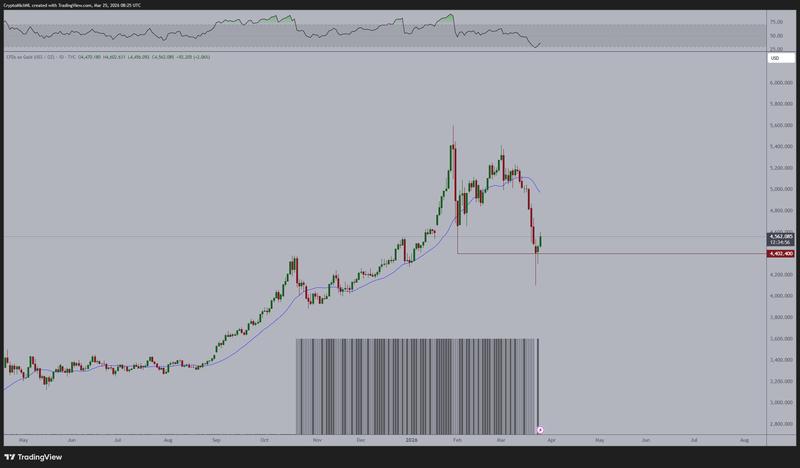 XAU/USD one-day chart with RSI data
