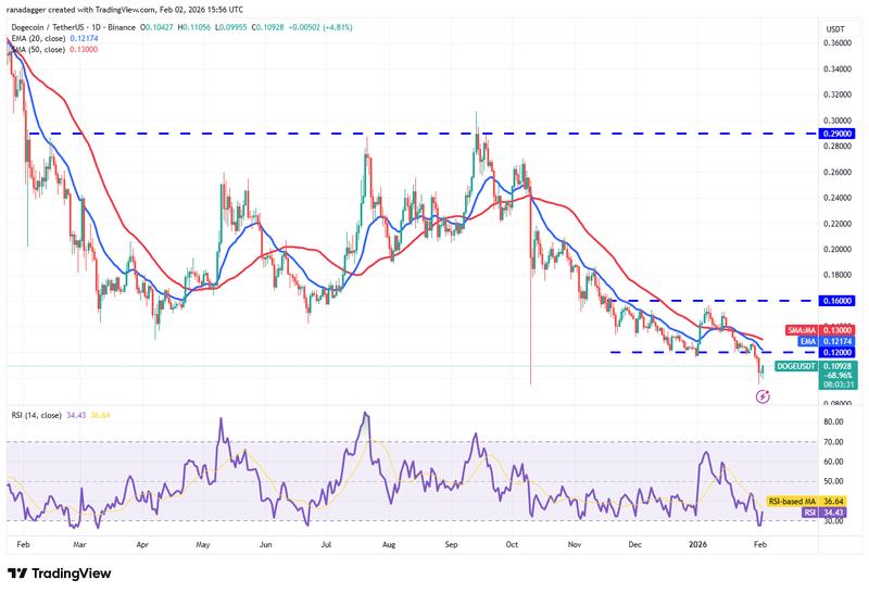 DOGE/USDT daily chart