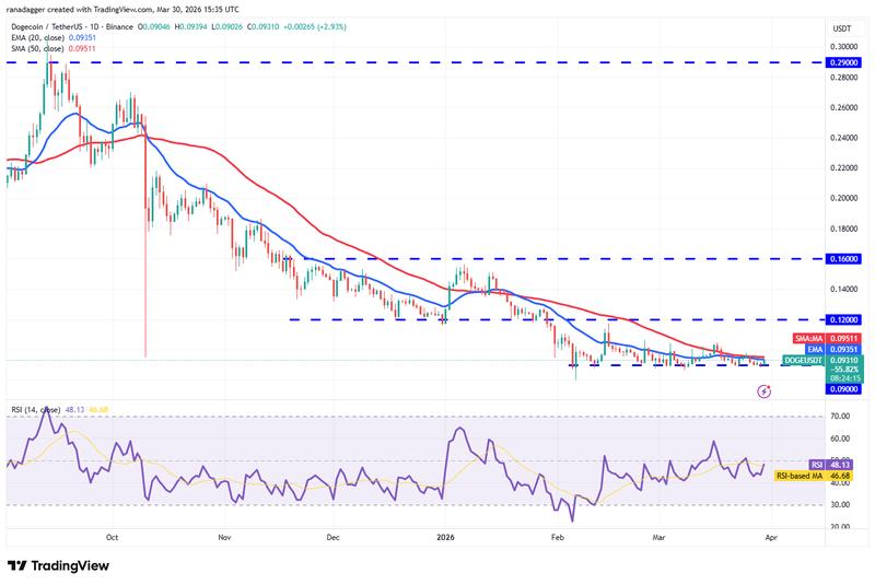DOGE/USDT daily chart