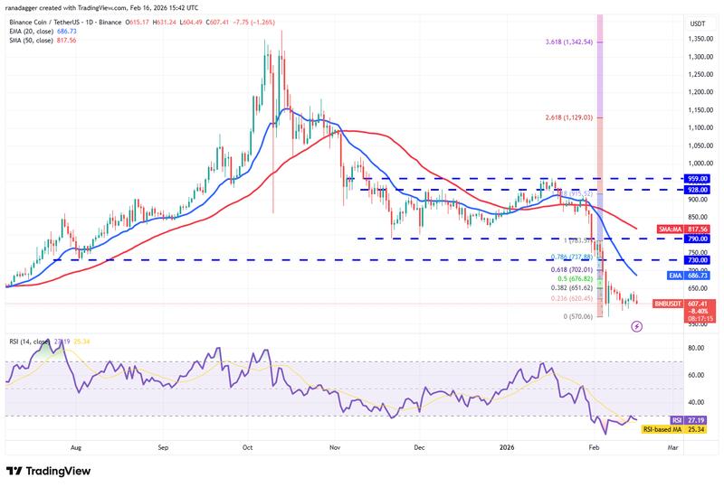 BNB/USDT daily chart