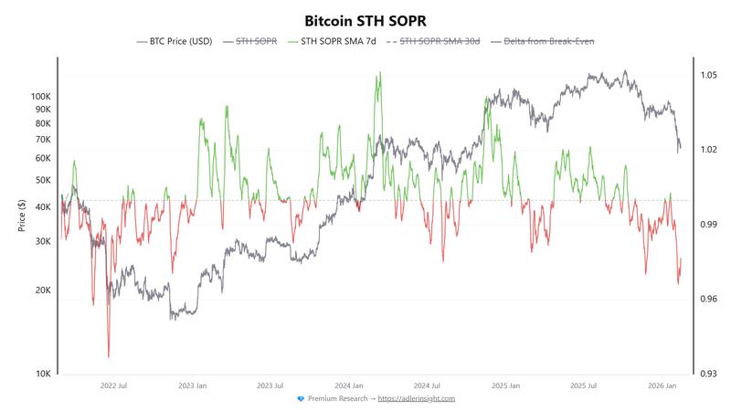 Bitcoin short-term holder SOPR