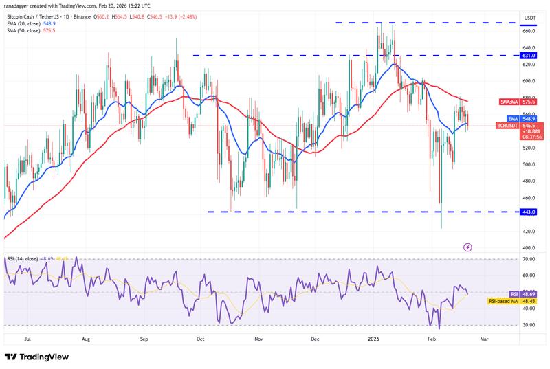 BCH/USDT daily chart