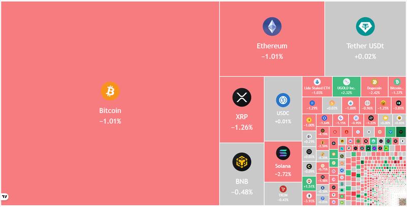 Daily cryptocurrency market data visualization